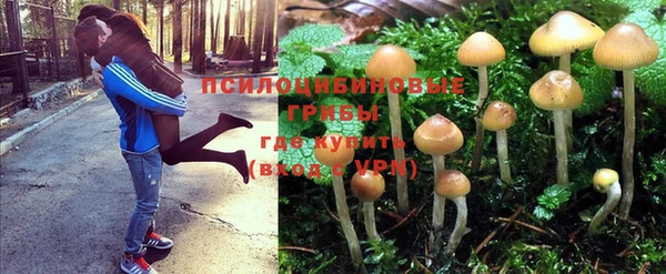 кокаин премиум Алзамай