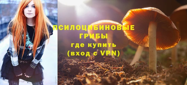 mix Алексин